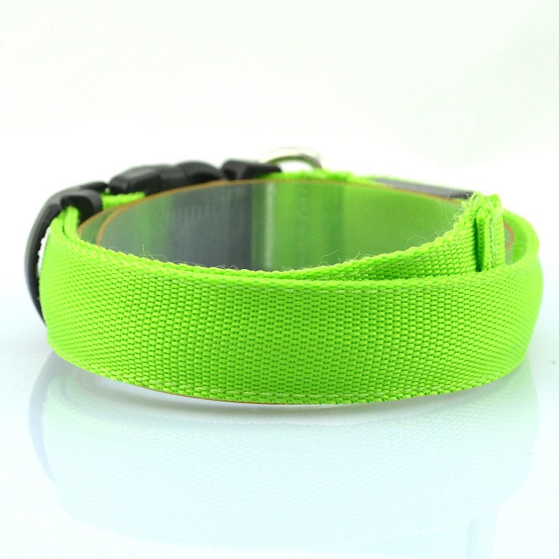 Adjustable Glowing LED Collar