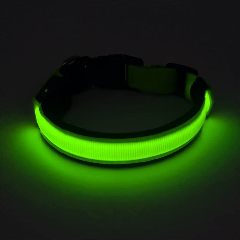 Adjustable Glowing LED Collar