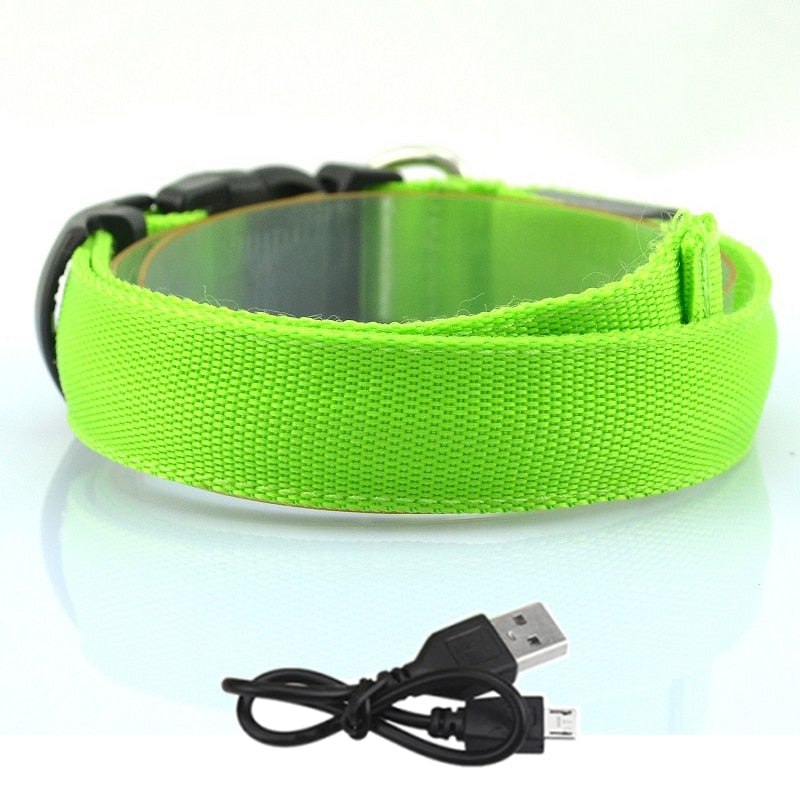 Adjustable Glowing LED Collar