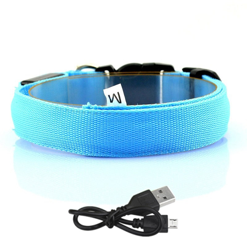 Adjustable Glowing LED Collar