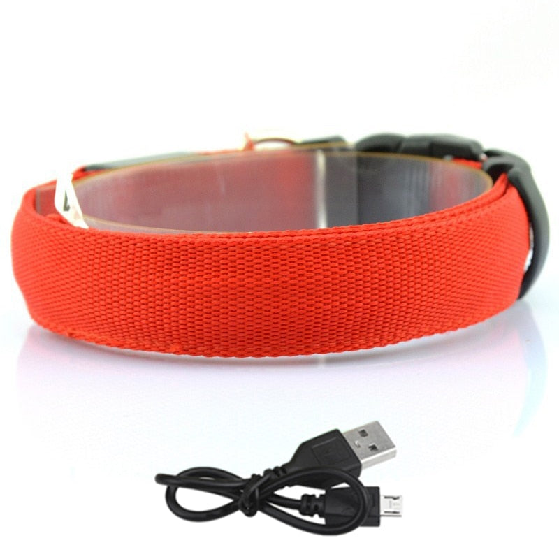 Adjustable Glowing LED Collar