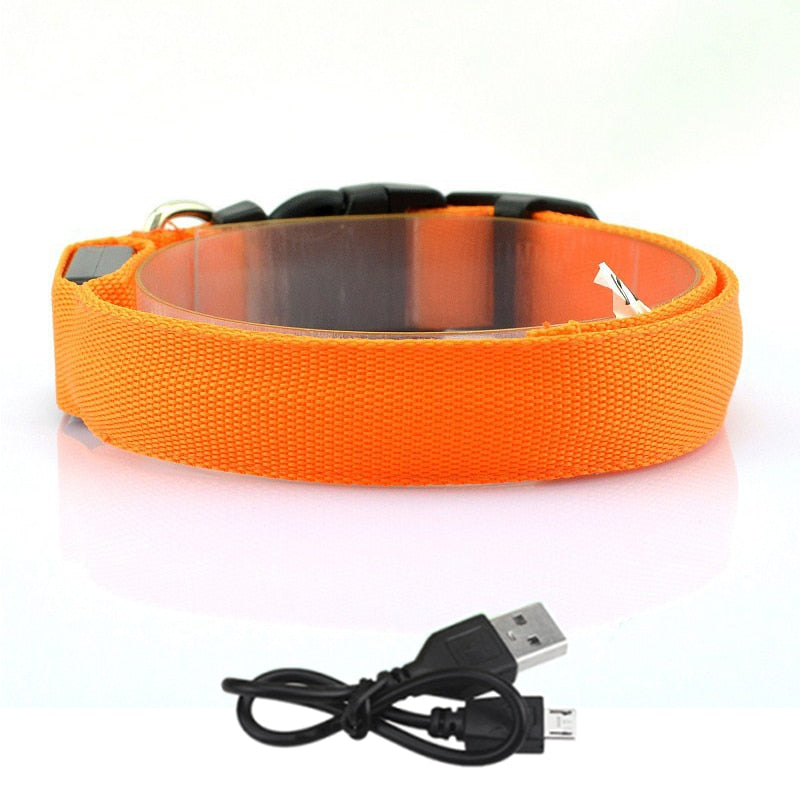 Adjustable Glowing LED Collar