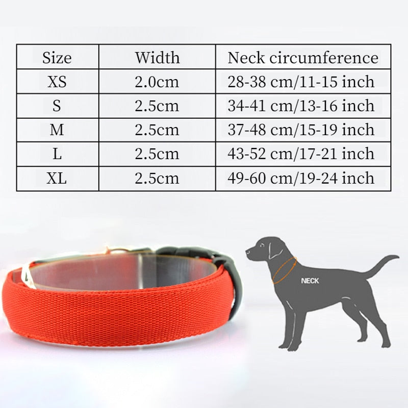 Adjustable Glowing LED Collar