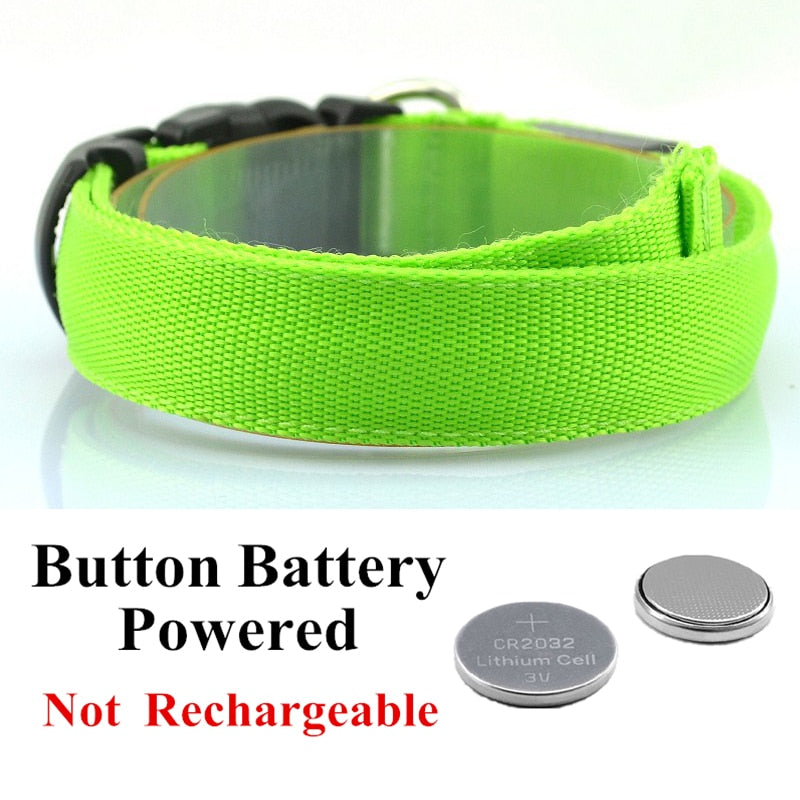 Adjustable Glowing LED Collar