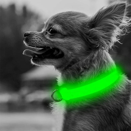 Adjustable Glowing LED Collar